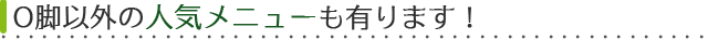 O脚以外の人気メニューも有ります！